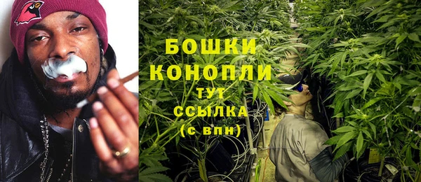 прущие крисы Слюдянка