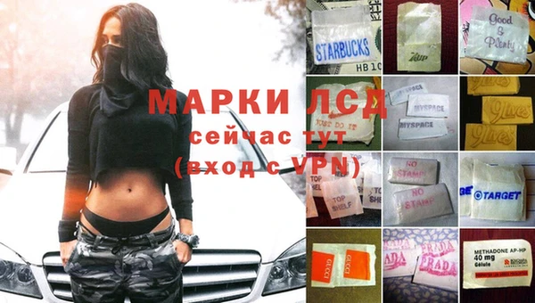 крисы Белокуриха
