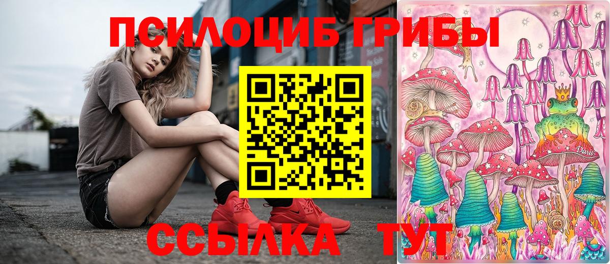 Галлюциногенные грибы мицелий Гай