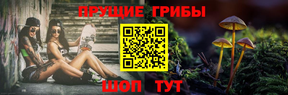 Гай  Псилоцибиновые грибы ЛСД  цены наркотик  Вход с VPN  Галлюциногенные грибы MAGIC MUSHROOMS 