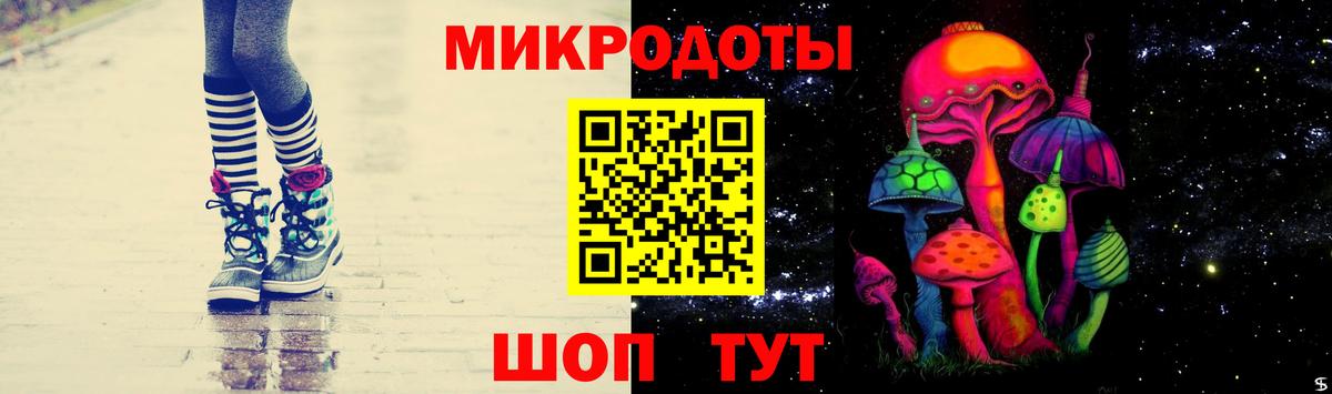 Галлюциногенные грибы Magic Shrooms  Псилоцибиновые грибы прущие грибы  закладки  Гай 