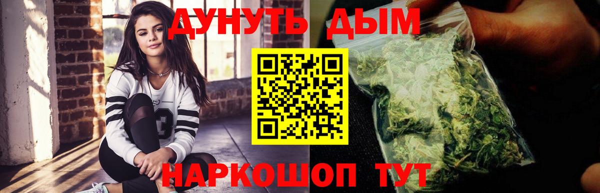 Бошки Шишки гибрид Гай