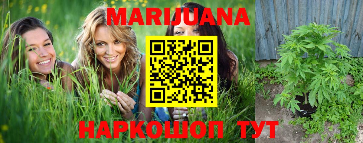 Канабис план Гай